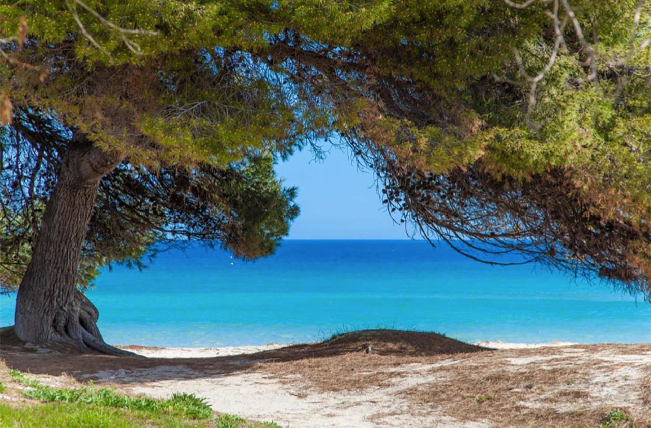 Apartment Countess Garden 2-1, Sun Of The Bay Vidalba 1, At Alcudia Beach ポルト・ダルクディア エクステリア 写真